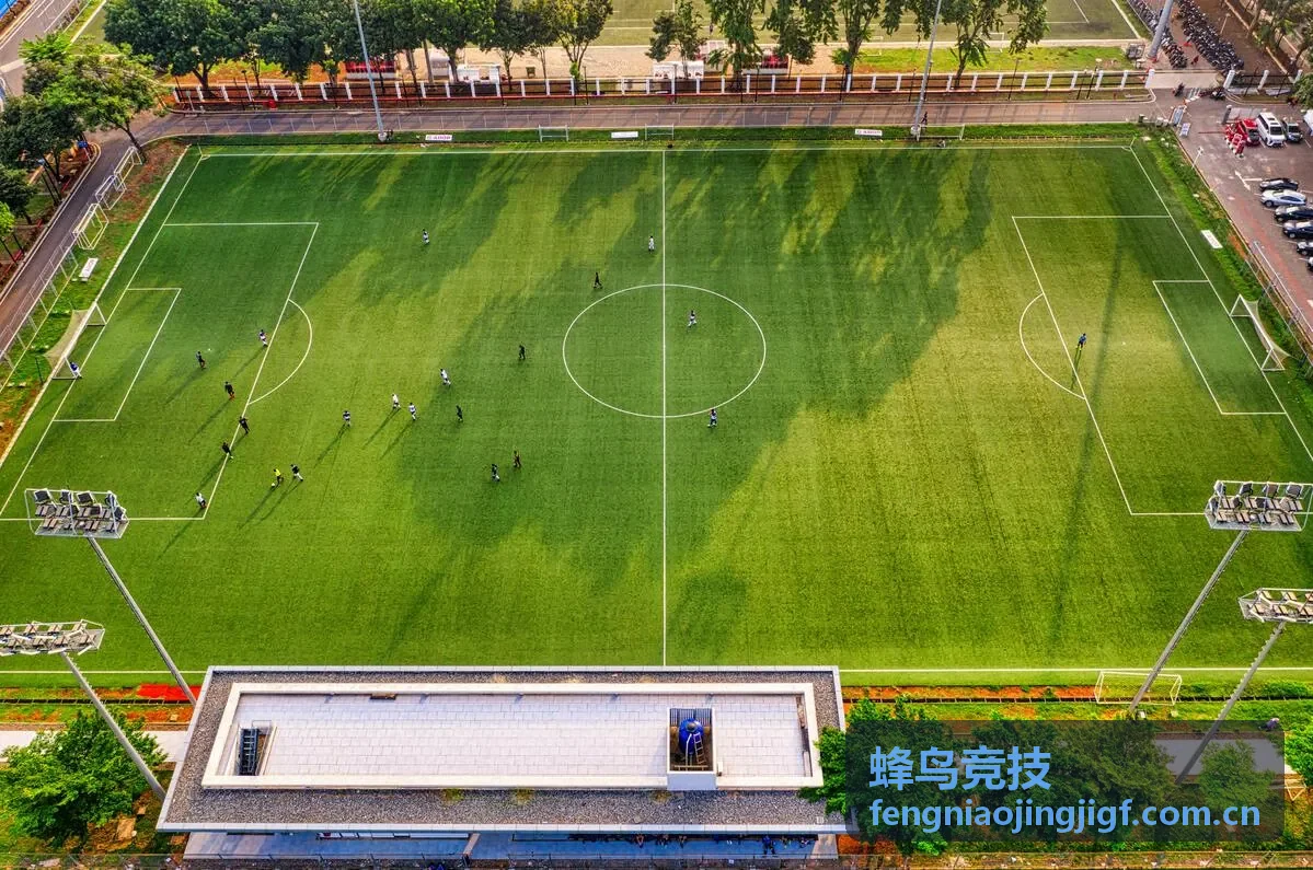蜂鸟竞技观赛回放时间轴截图